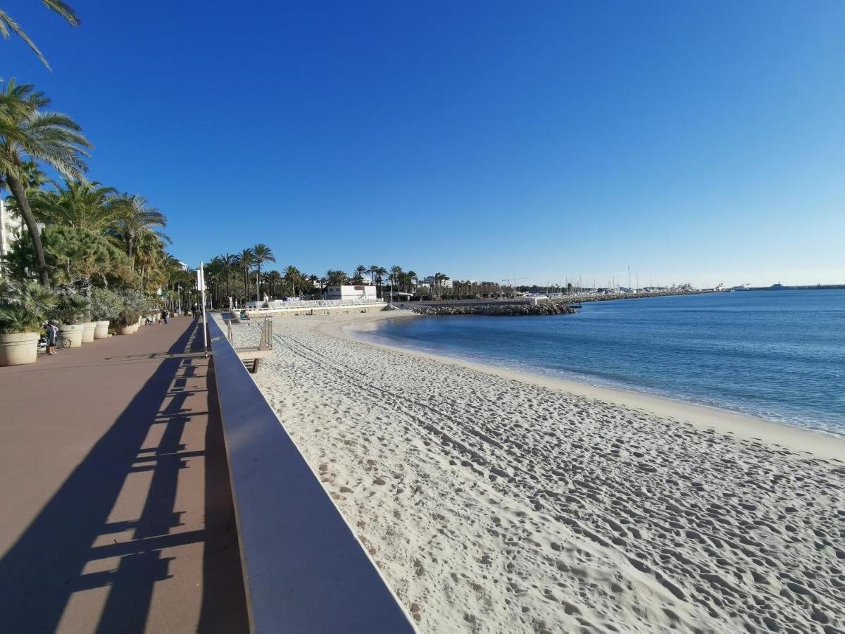 Le Chester Appartement 3 Pieces Cannes Proche Croisette Bord De Mer Eksteriør bilde